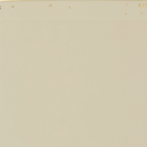 Питательное гидрофильное масло с чёрной соей Round Lab Soybean Cleansing Oil 