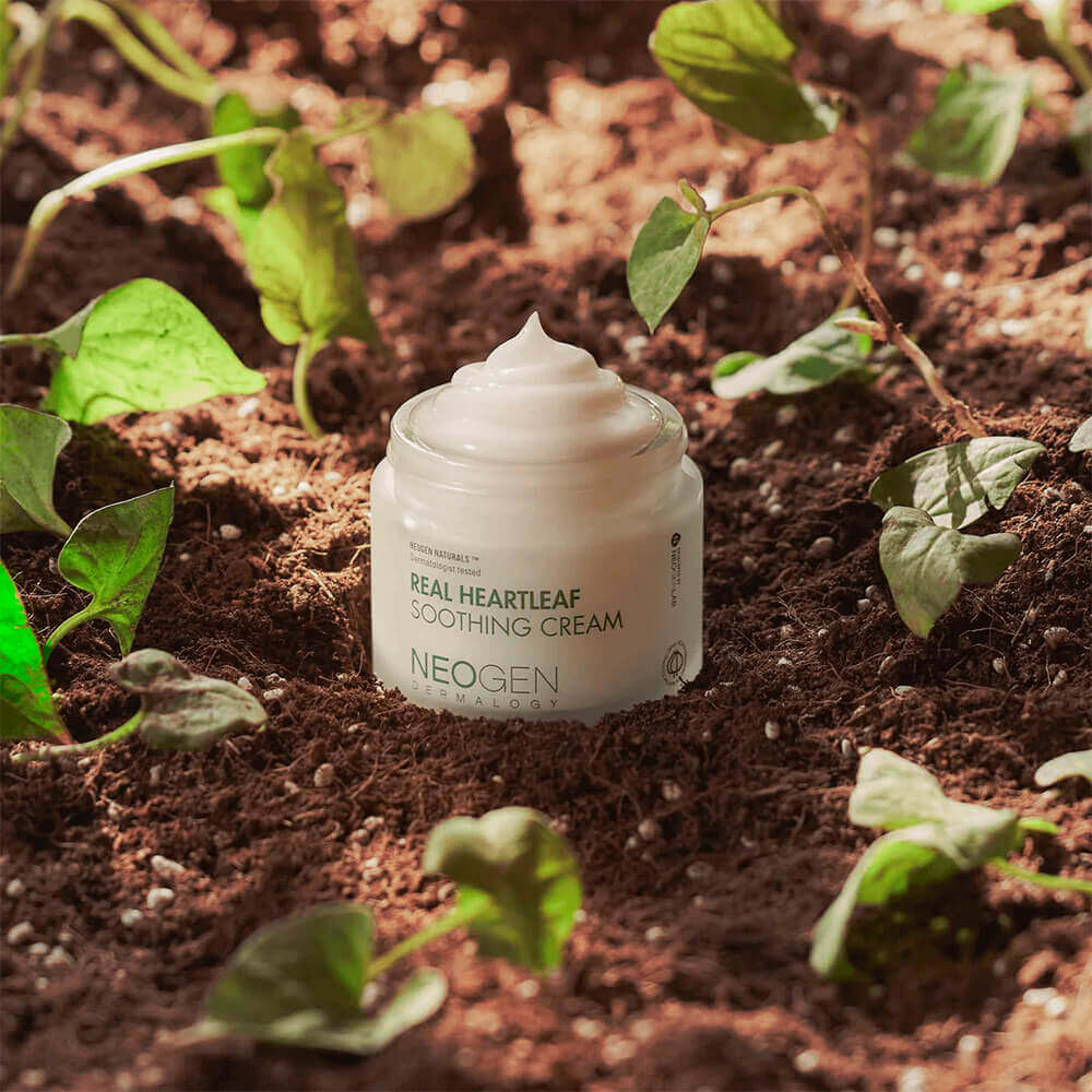 Успокаивающий крем от сухости с хауттюйнией Neogen Dermalogy Real Heartleaf Soothing Cream