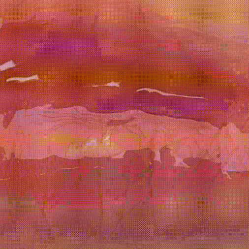 Нюдовый блеск для губ с пантенолом nuse Care Liptual