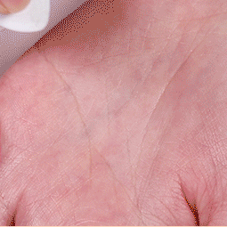 Сыворотка-масло для поврежденных волос Mise En Scene Perfect Serum Original