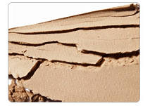 Увлажняющая компактная пудра The saem Saemmul Pure Pact Тон 02. Natural Beige