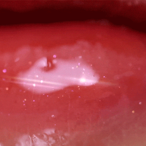 Сияющий прозрачный блеск для губ rom&nd Glasting Water Gloss