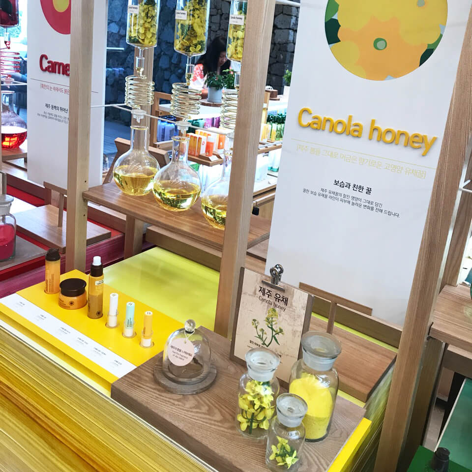 Innisfree Jeju House