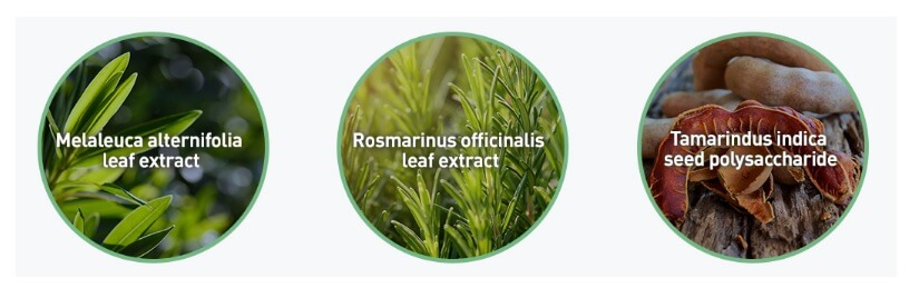 AROMATICA Tea Tree Balancing Emulsion1.jpg