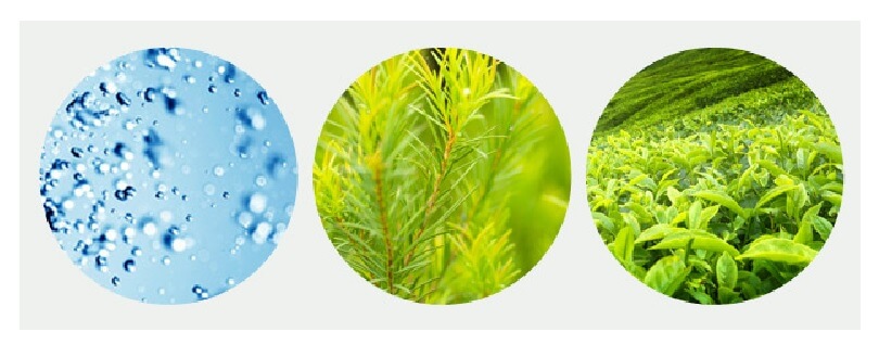 MANYO FACTORY Herb Green Jelly Skin4.jpg